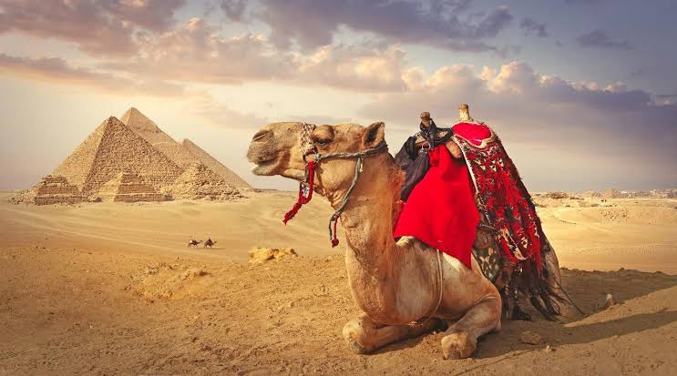 Giza Pyramids Camel Ride Adventure – Explore the Desert & Pyramids
